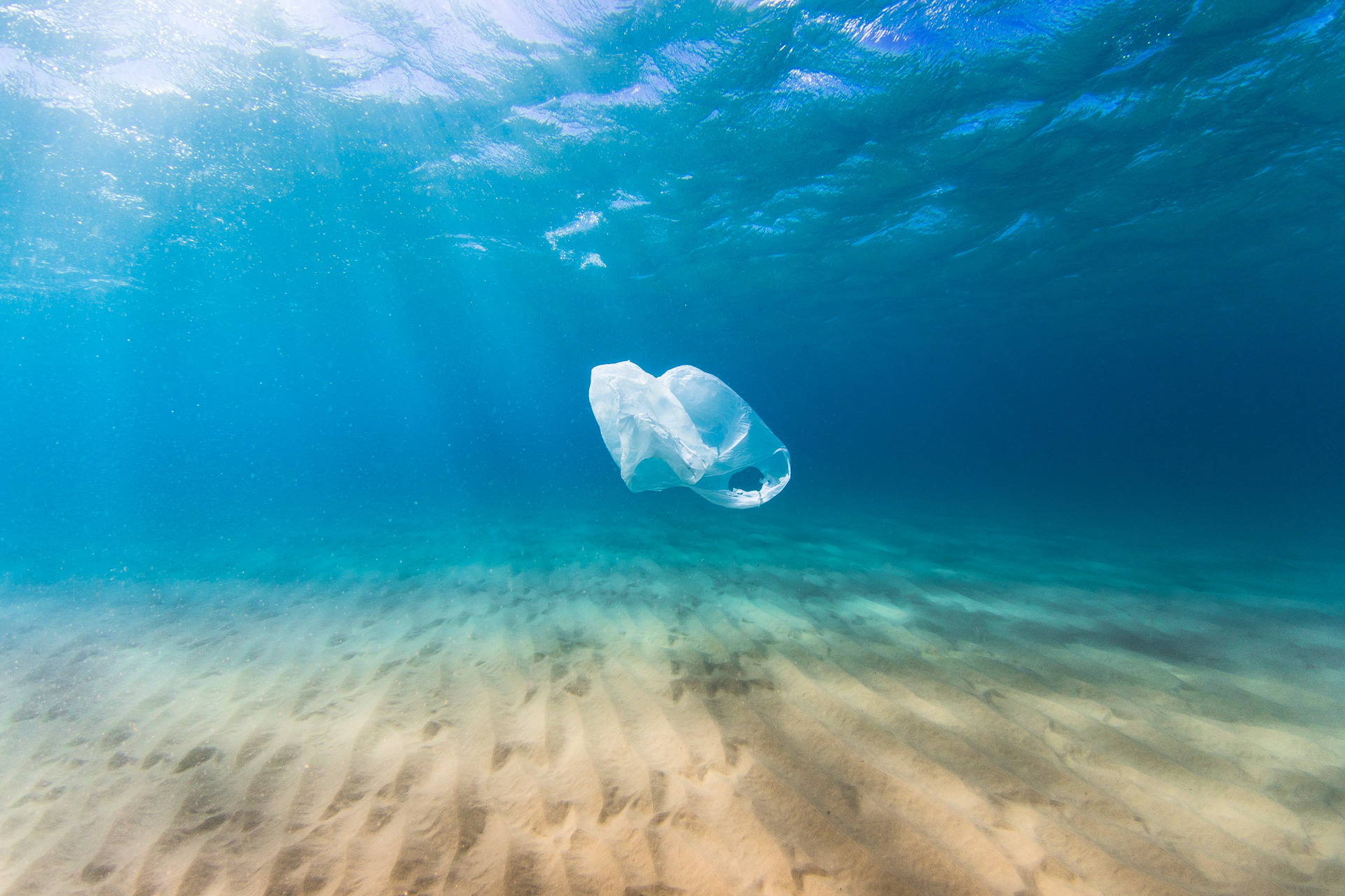 Plastics and pollution