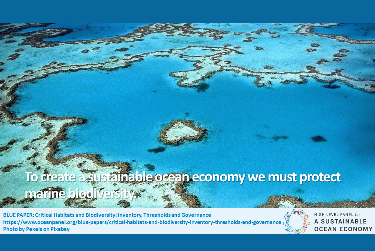 Global biodiversity loss results from decades of unsustainable use of the marine environment