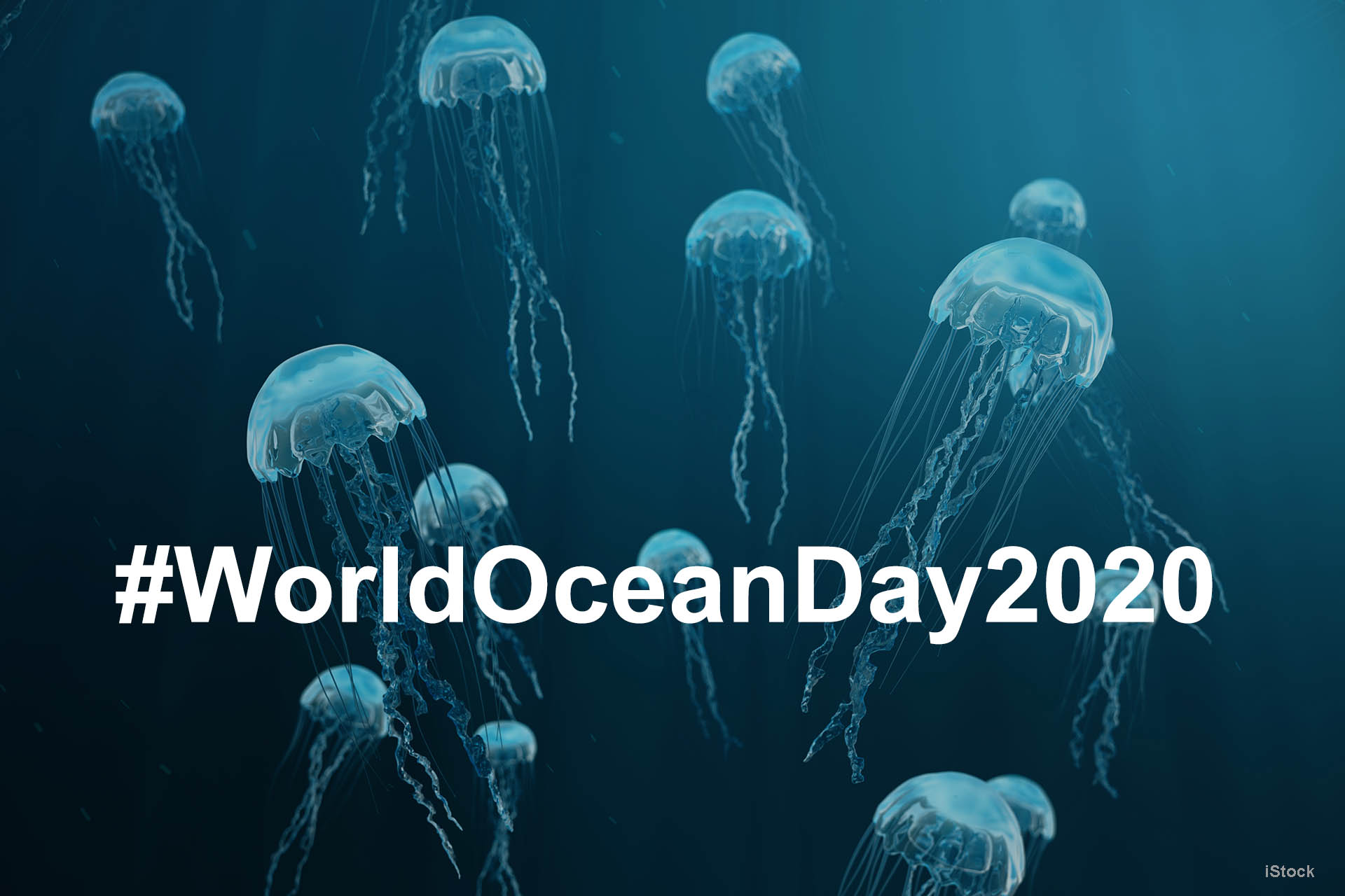 REV Ocean gears up for World Ocean Day 2020!