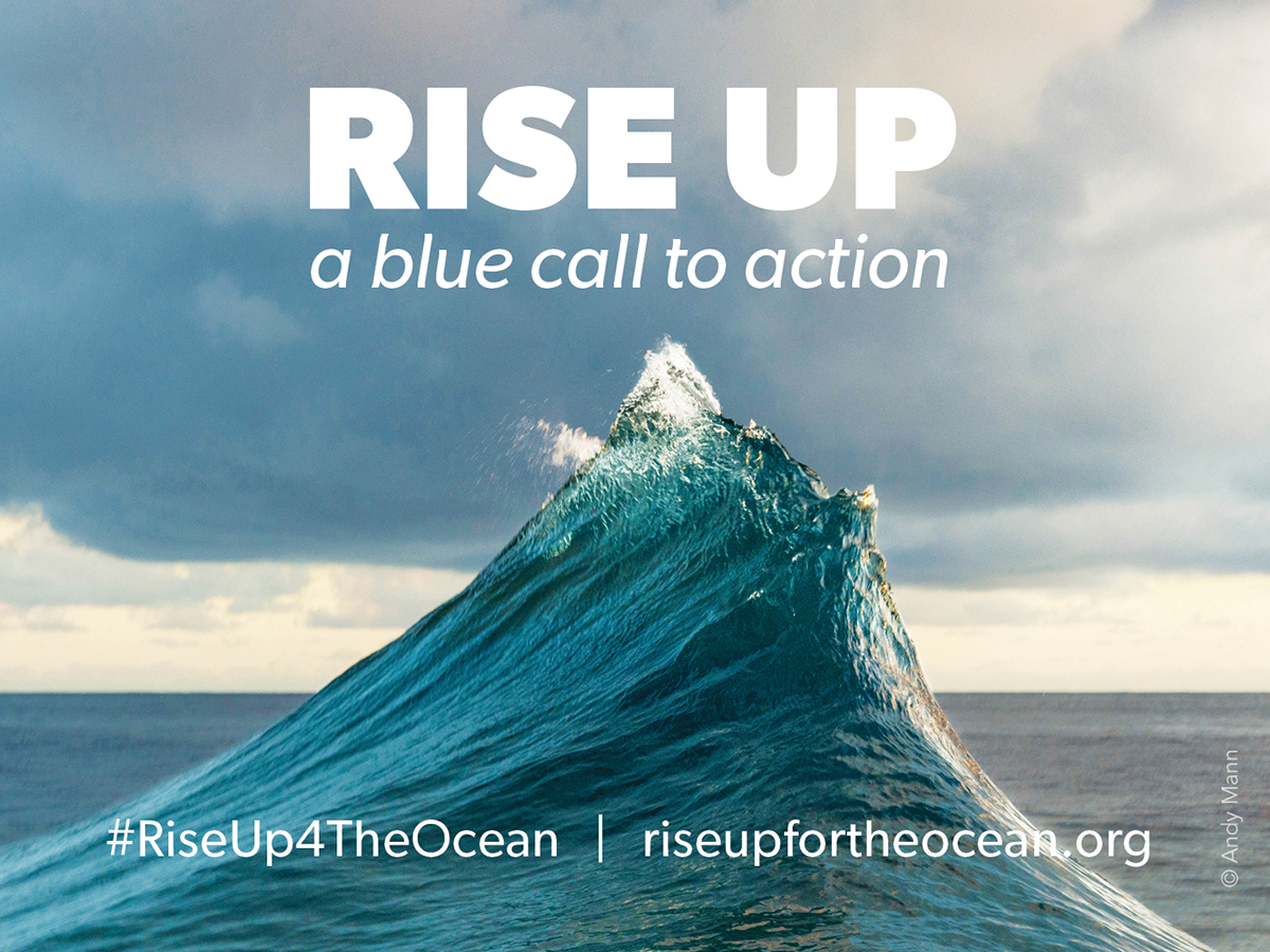 REV Ocean Joins RISE UP, a Blue Call for Action