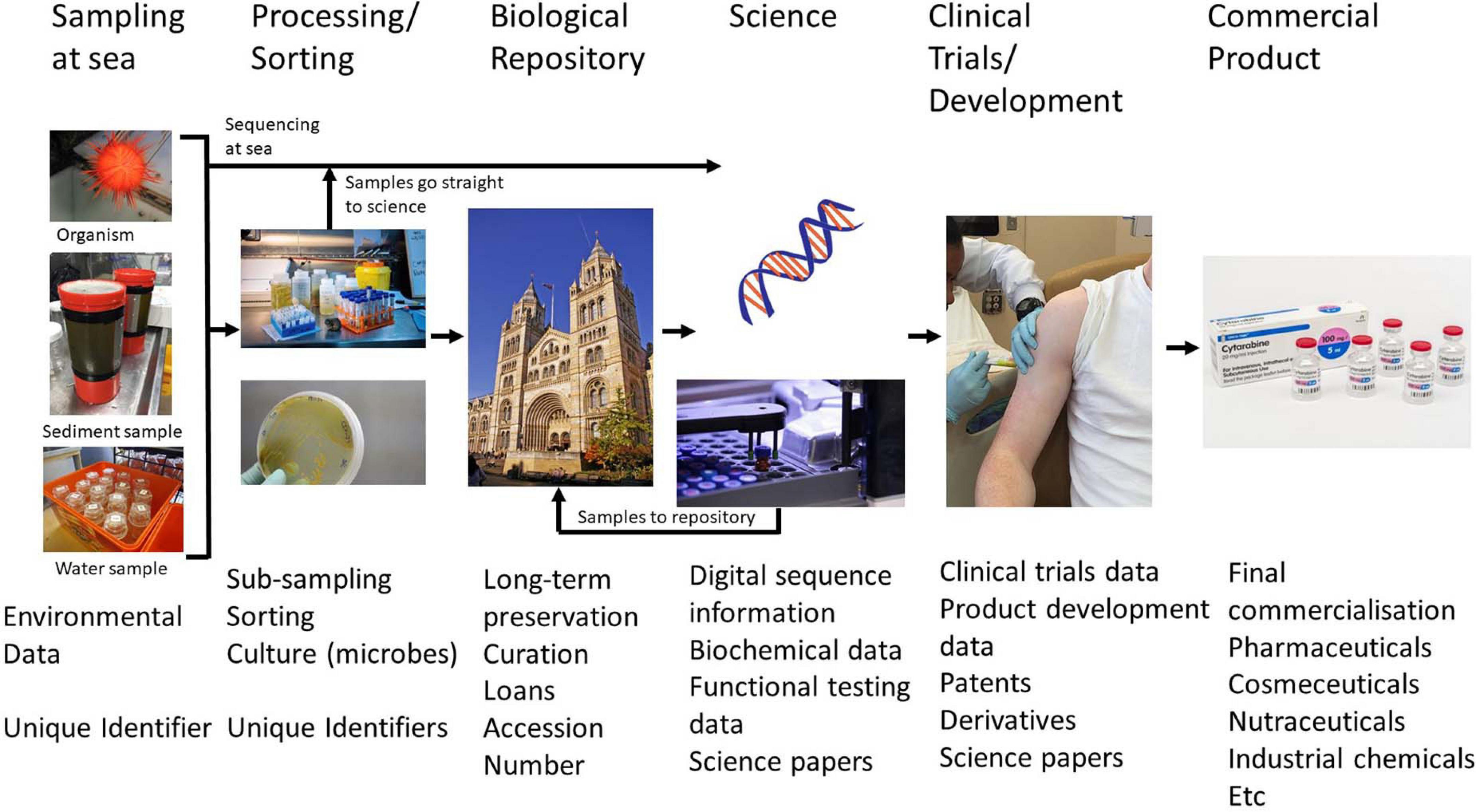 Solutions for Promoting Marine Scientific Research and Enabling Equitable Benefit Sharing