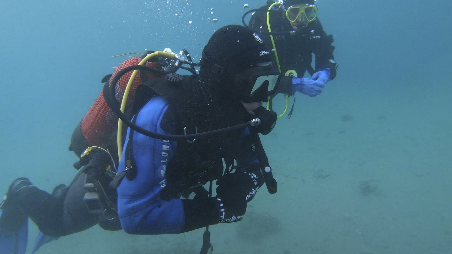 REV Ocean helps restore kelp forests by harvesting sea urchins